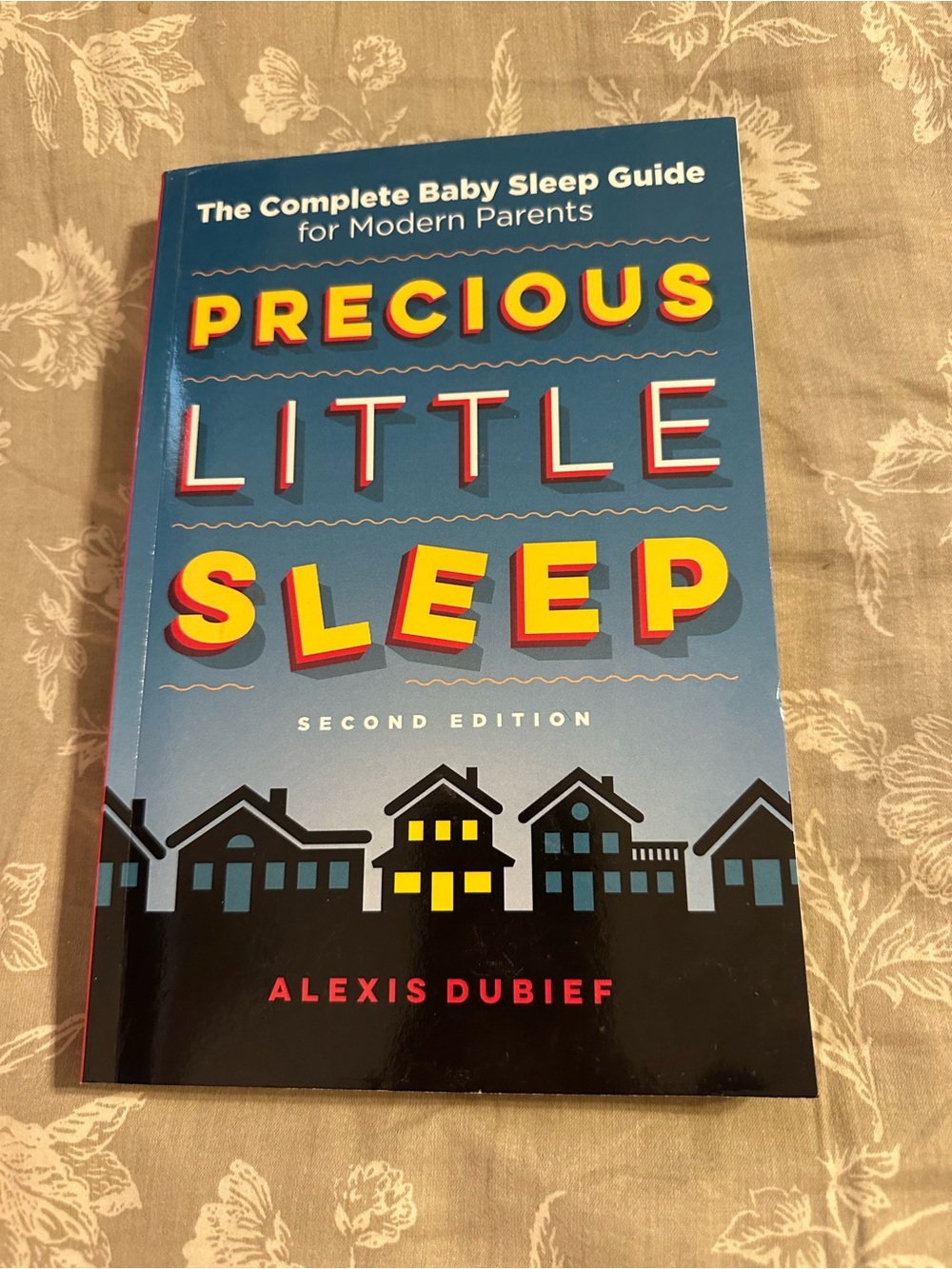 Precious Little Sleep by Alexis Dubief - Blue Cover